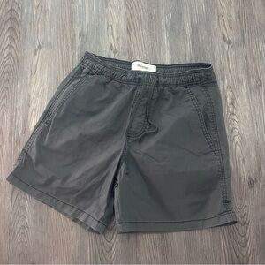 Hollister Men’s shorts XS